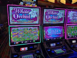 Fitur Slot Taipan Berlian